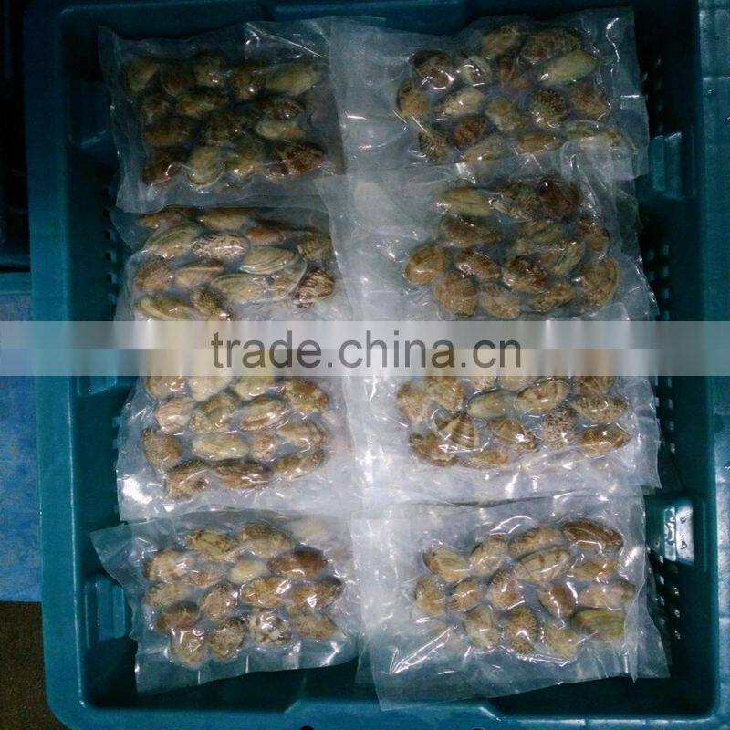 frozen boiled yellow short necked clam on time delivery