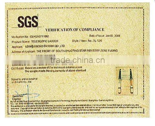 Casing telescopic aluminum ladder