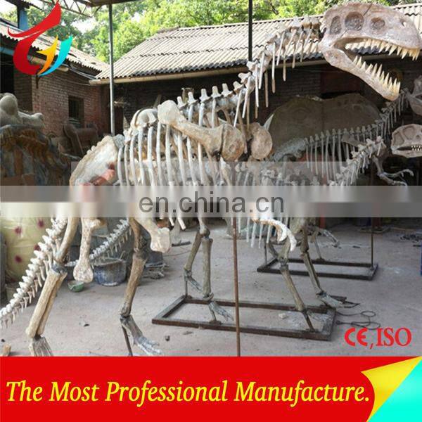 Competitive Price New Fiberglass Dinosaur Fossil Replica for Dino Park