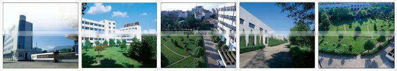 PET plastic jelly cup, fruit and nut packaging, customized logo, factory in Zhejiang Dongyang