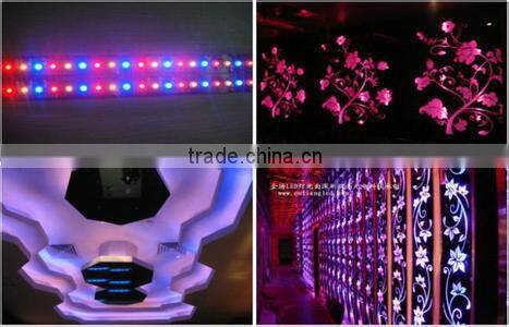 wholesale product flexible led strip light SMD5050 waterproof led strip light