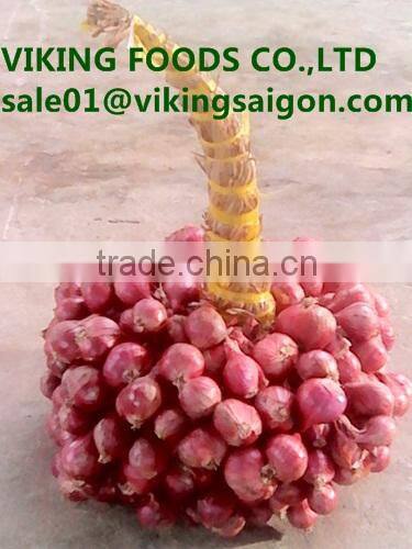 GOOD SOURCE _ *FRESH SMALL ONION* _ GOOD QUALITY