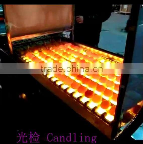 China supplier 10000pcs/h egg washing machine