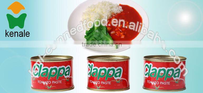 canned tomato brands 70gX50tins