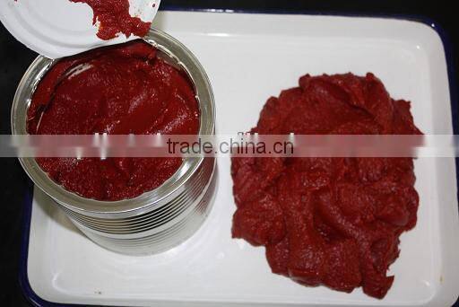 2014 Products New Gino Tomato Paste