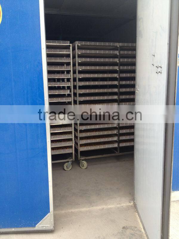 Top Quality Organic Dried Tomato