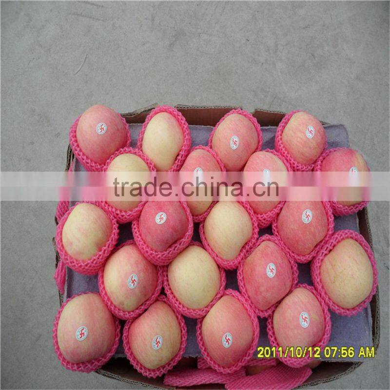2014 New Chinese Fresh Red Fuji Apple