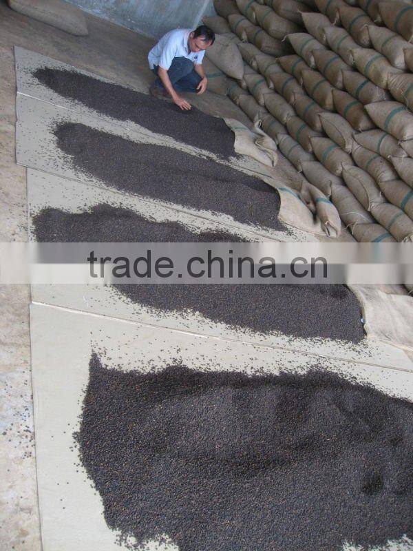 VIET NAM HIGH QUALITY BLACK PEPPER 500G/L (SKYPE: VISIMEX09)