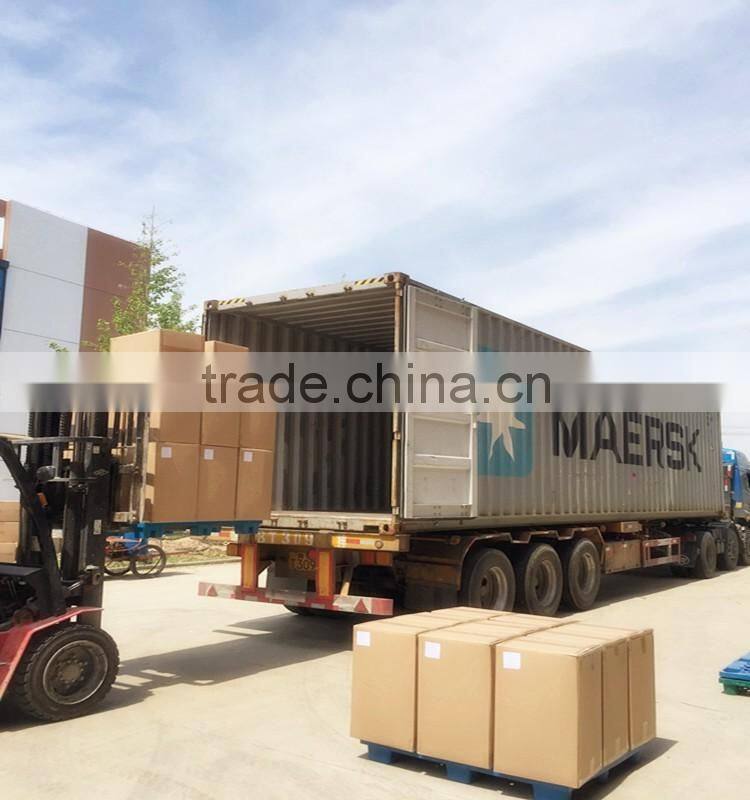 Palarich freeze dried fruit grape chips