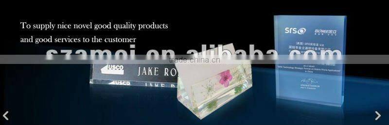 Acrylic Ballot Box with lock