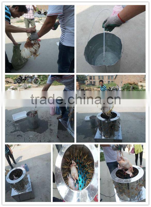 Best price used chicken pluckers for sale poultry slaughter machine with good quality