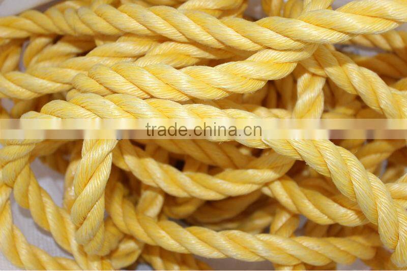 20mm diameter pp danline rope