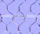 Hexagonal Wire Mesh