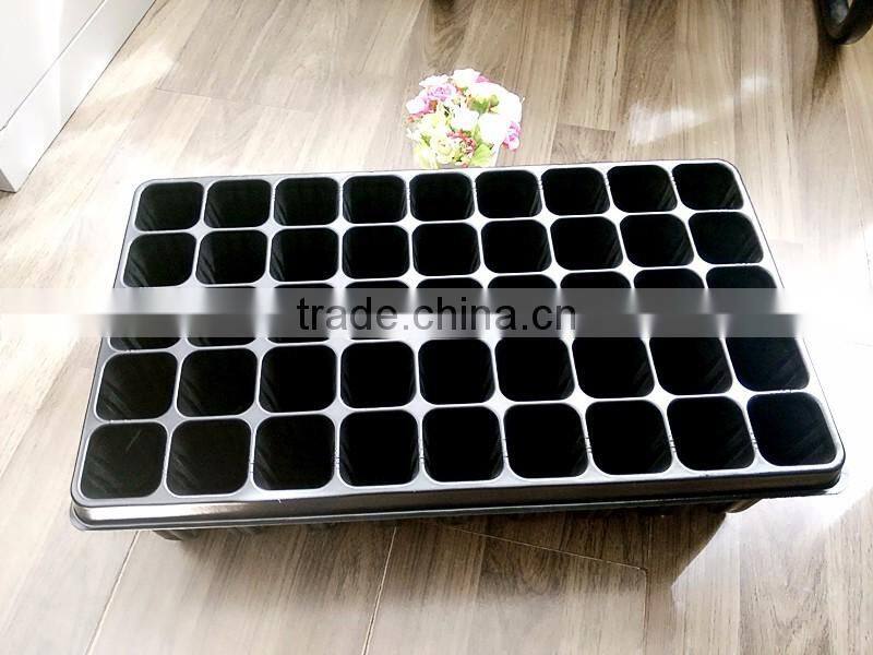 deep forest seed growing tray, tree seed propagator