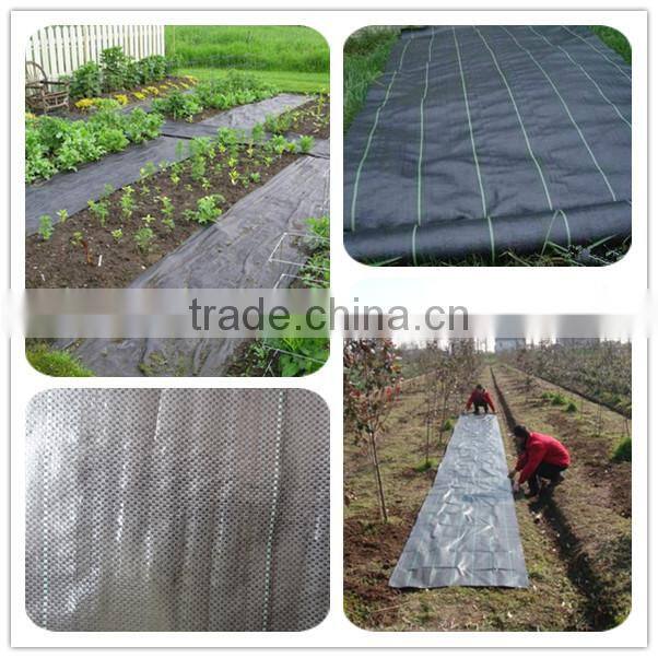 new design weed mat manufacturer, weed control mat/garden ground cover fabric made in China