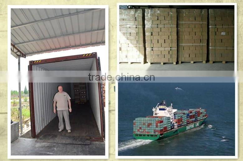 Unique design decorated dog kennel house