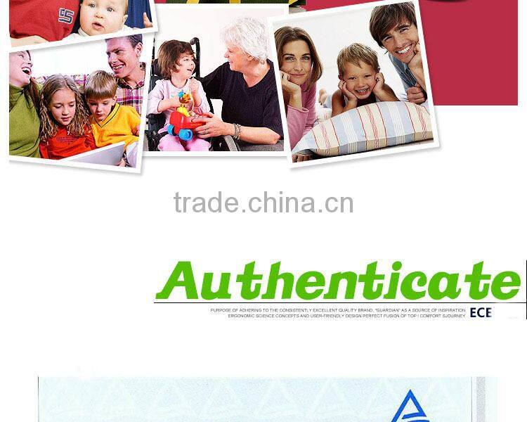 2017 portable electric bicycle mini folding ebike with CE EN15194 certificate