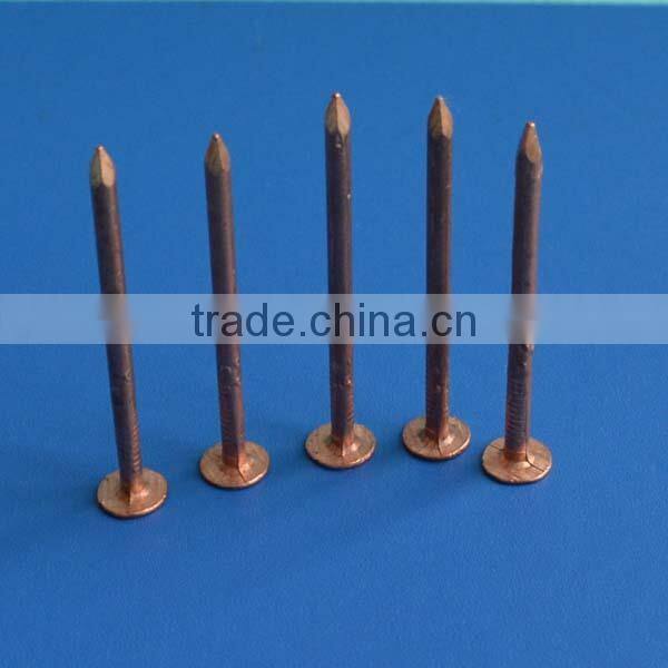 galvanized square boat nails