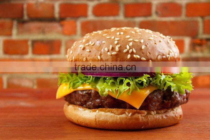 Plastic hamburger mould for meat grinder
