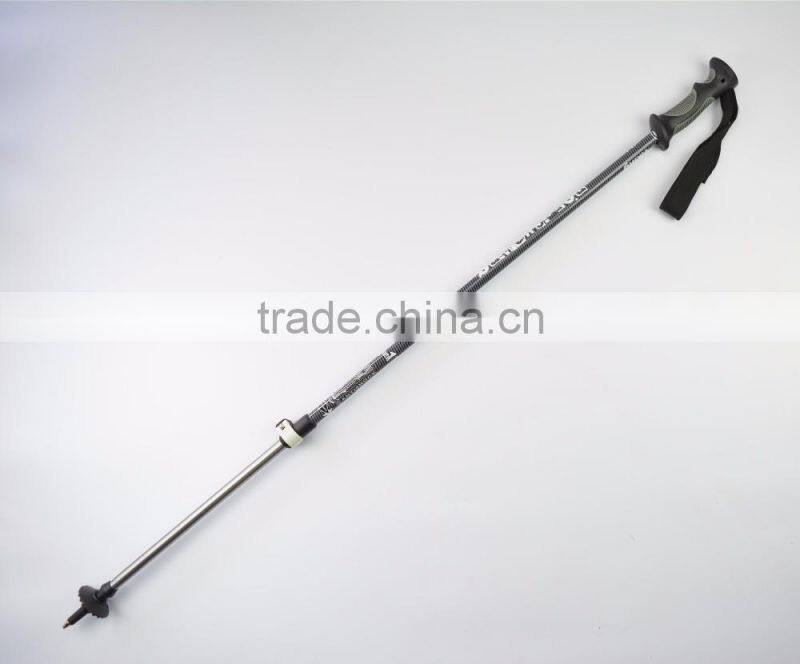 2 hours replied alpine ski pole