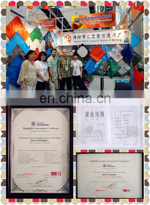 Tarp Tent Shelter Shade Tarpaulin Picnic Blanket Beach Mat Camping