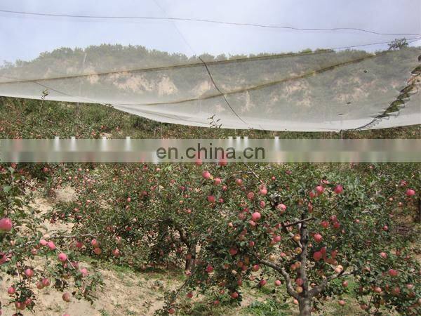 Plastic Fabric Agriculture Apple tree Virgin Hdpe Anti Hail Net
