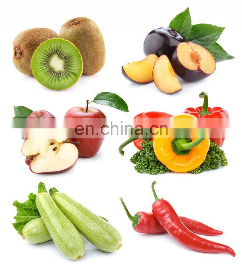 small tomato washing machine for selling