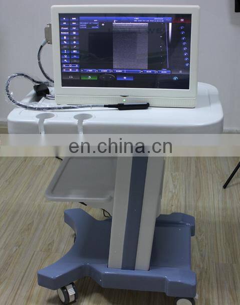 HC-A005 Pregnancy Ultrasound Scan/Medical Diagnostic Equipment/18 inch large LCD