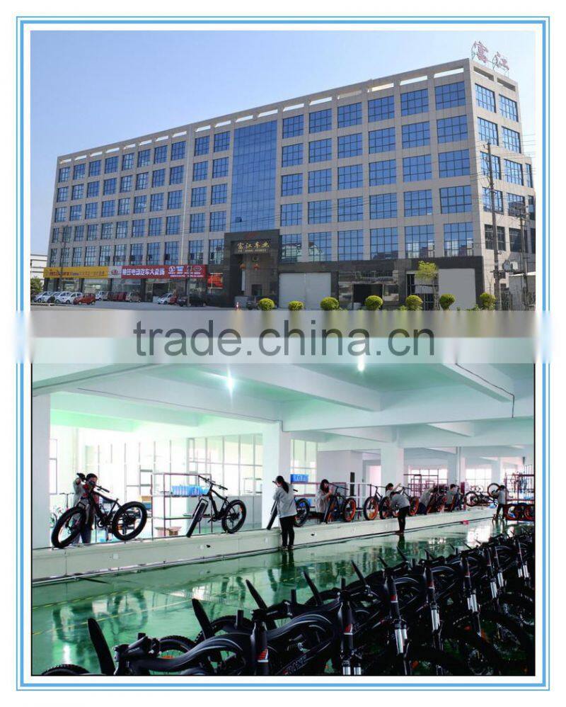 fashion electric bicycle,electric bicycle conversion kit,cheap electric bicycle kit