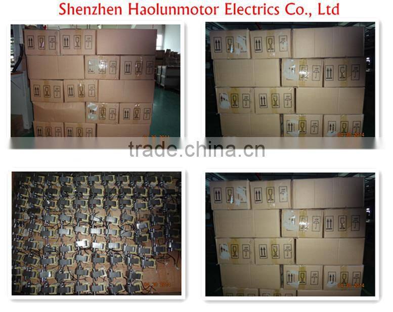 Permanent Magnet 12v DC Motor
