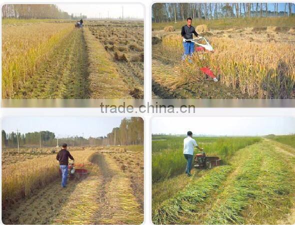 small grain havester 4 rows reaper