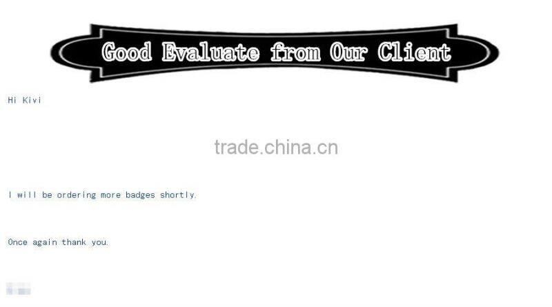 20 years experience hign quality custom metal military badge