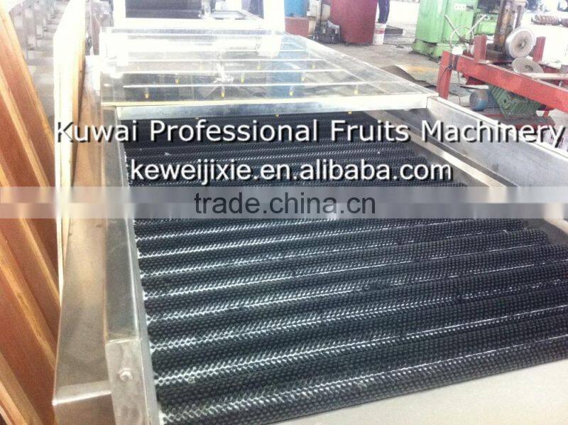 5 ton MSJ-5 Model brush cleaner(Industrial apple cleaner)