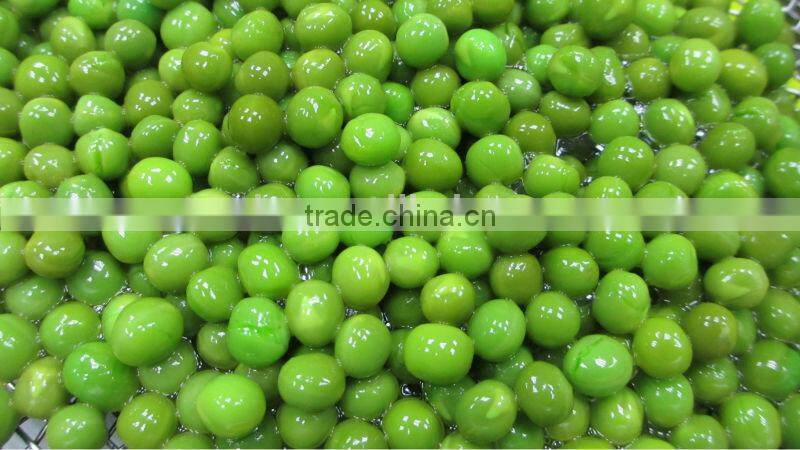 Halal Approval Canned Green Peas