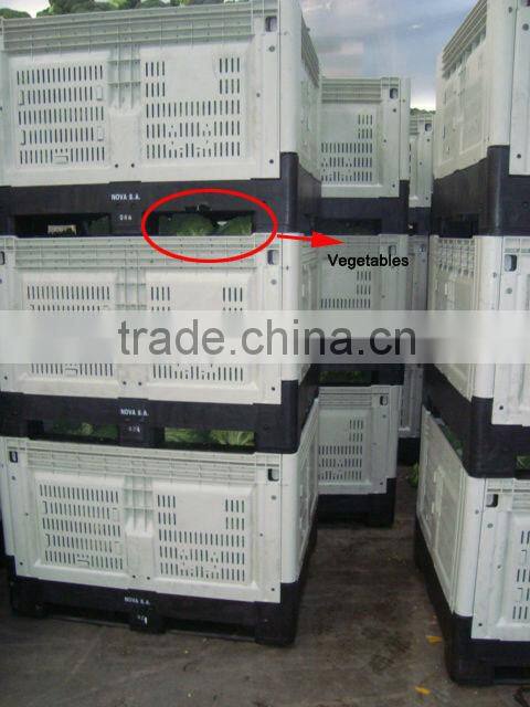 Collapsible fruit picking bin