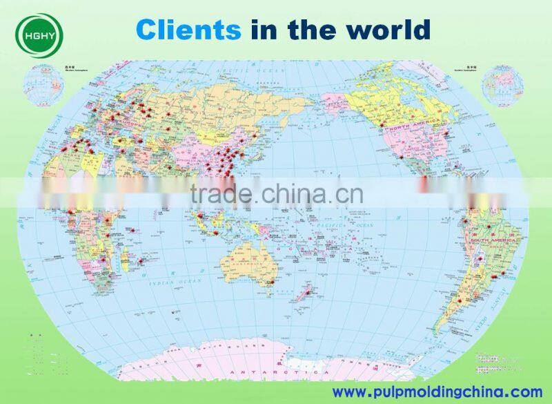 disposable baggase paper plate pulp molding machine by HGHY