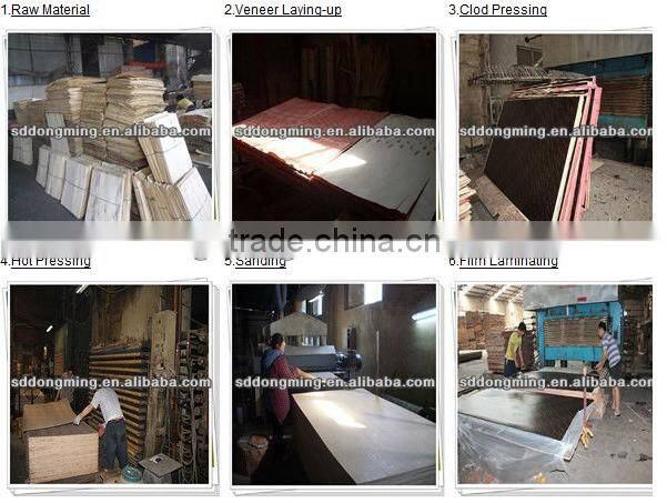18mm Waterproof Plywood Sheet