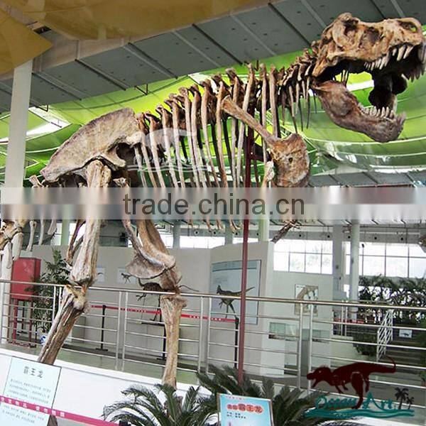 OA-DS-K16062401 high quality dinosaur skeleton model
