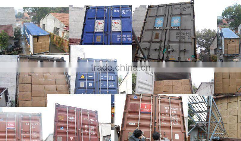 16OZ Double Wall Thermos Plastic Travel Mug with Stainless Steel Outer