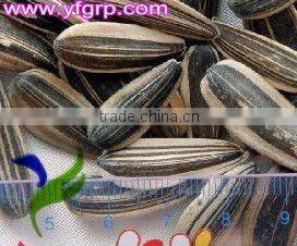 Chinese sunflower seeds by roasted with papper bag