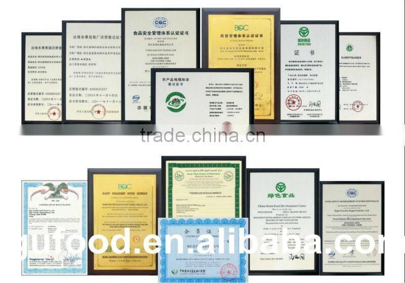 Canned tomato paste in sauce price