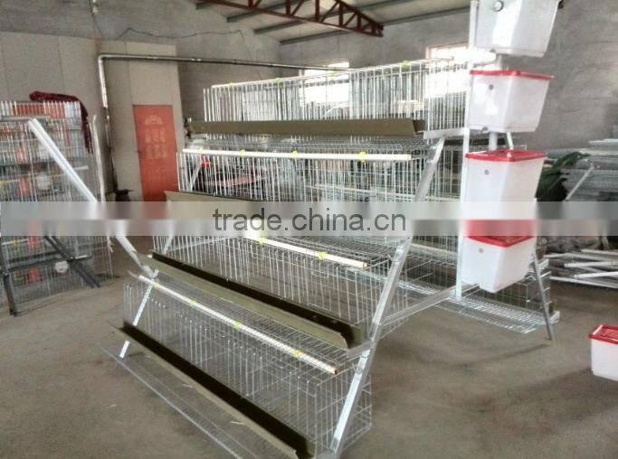 Hot Sale 6 Tiers quail cage