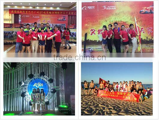 Professional full color animation dj single color disco laser lights for pub