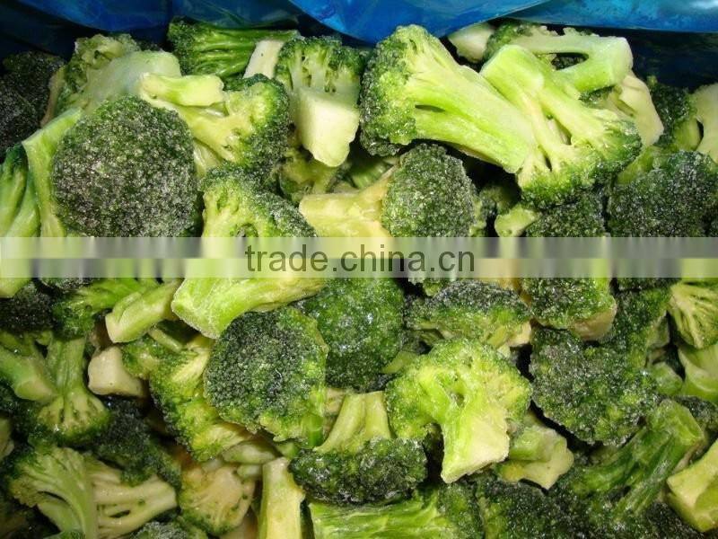 Frozen Broccoli Exporter