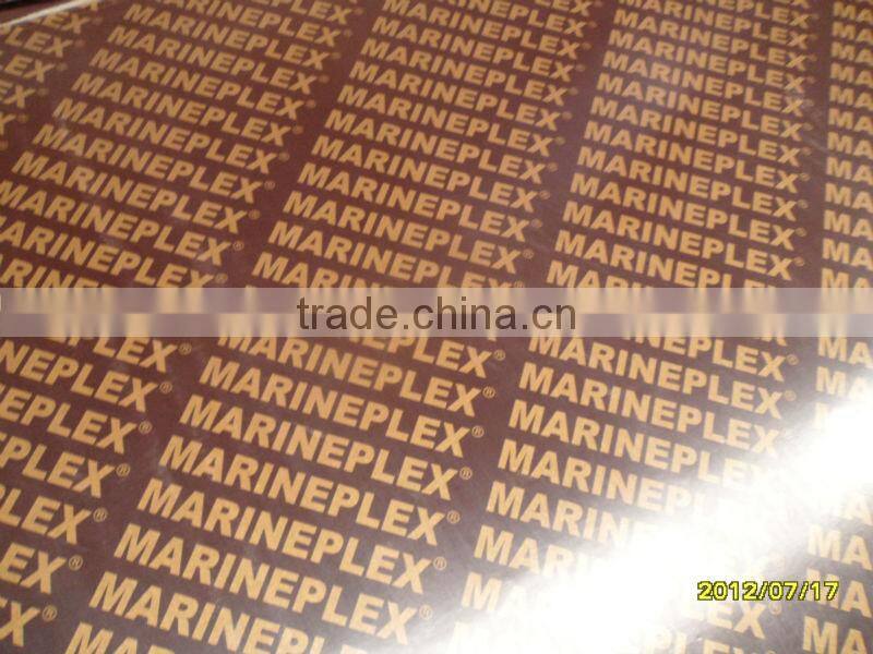 Construction Plywood