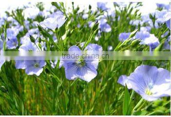 Health food herbel Flax seed Oil (ALA:35-65%) KOSHER&HALAL