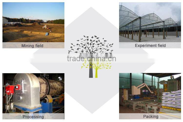 Soilless Growing Media Perlite