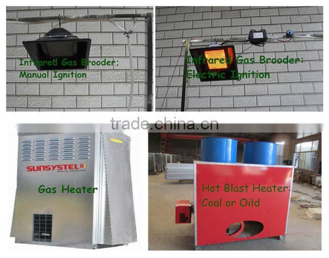 Poultry Farm Design Layout Automatic Broiler Feeding System Agricultural Equipment for Chicken House/Shed/Coop/Hangar/Barn