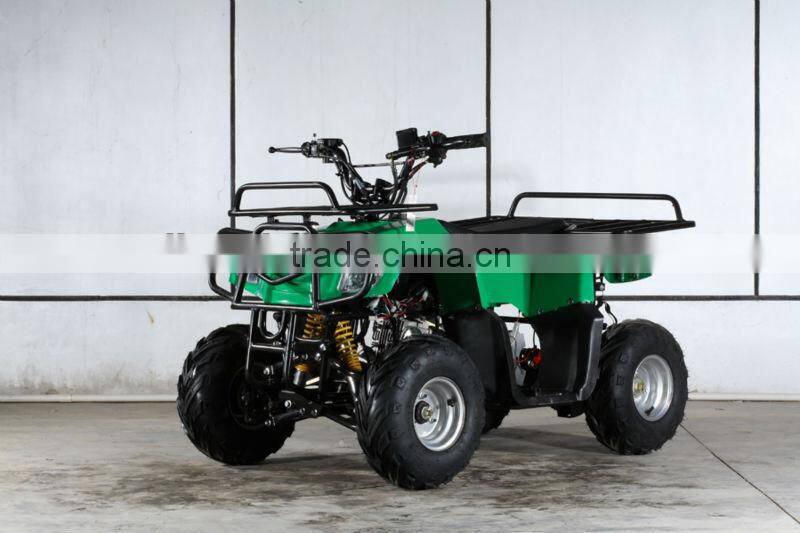 110cc Atv Quad High Quality