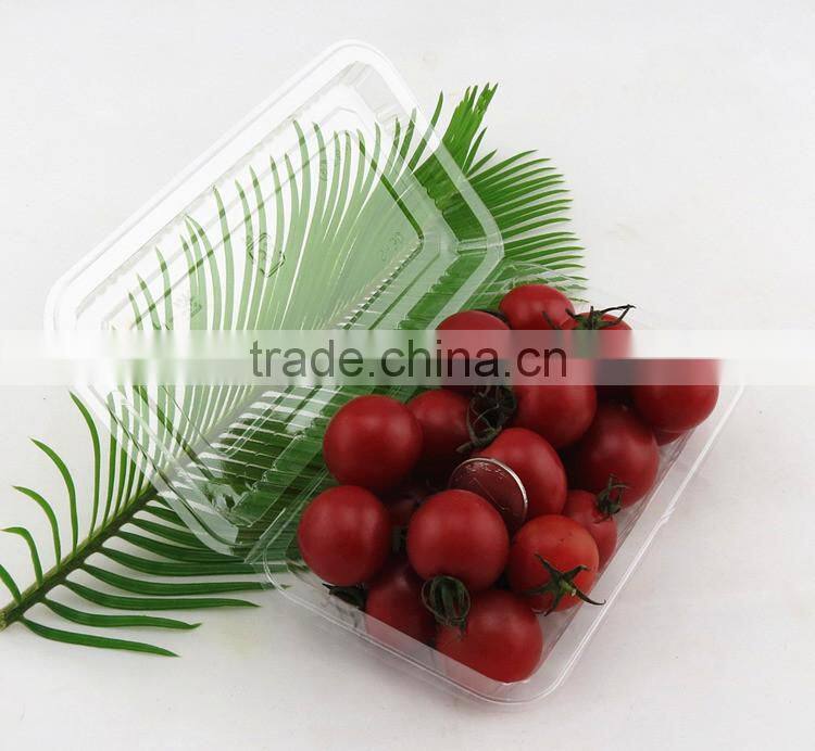 disposable cookies plastic container